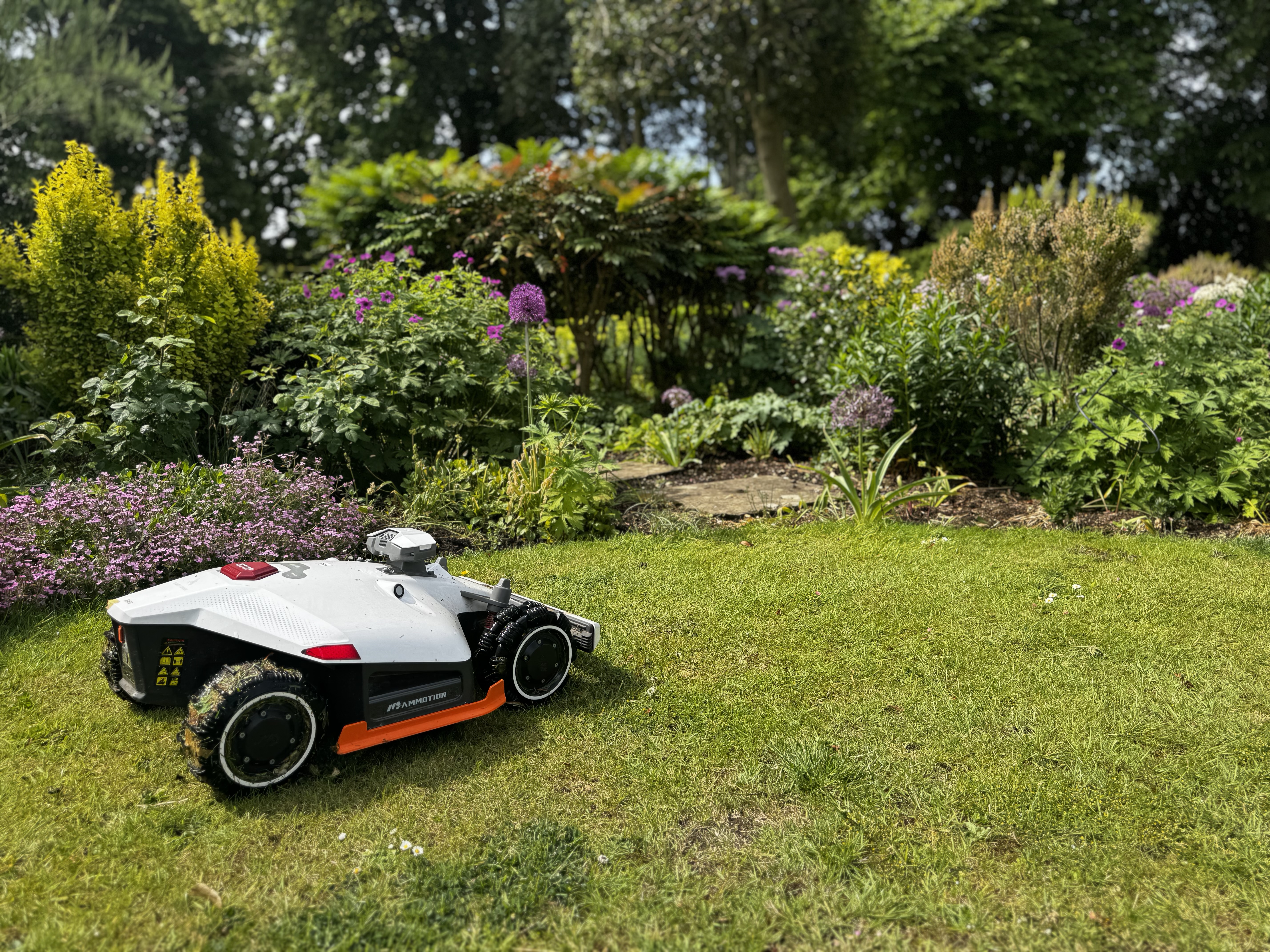Automated robotic lawn mower in landscaped garden